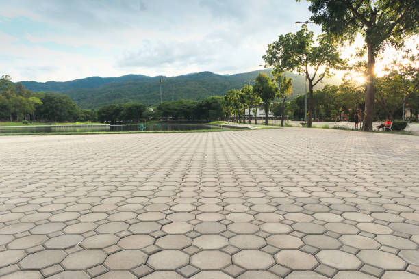 Residential Paver Driveway in Melvindale, MI